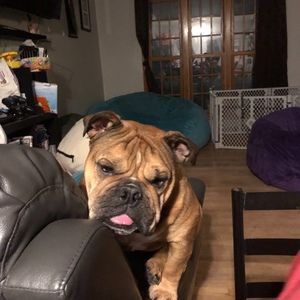 Meet your Posher, Dorothy